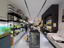 Geylang Road (D14), Shop House #600640161